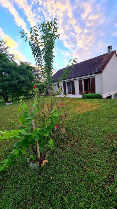 Maison Chaleureuse Avec Charme D'Ancien Jablines Eksteriør bilde